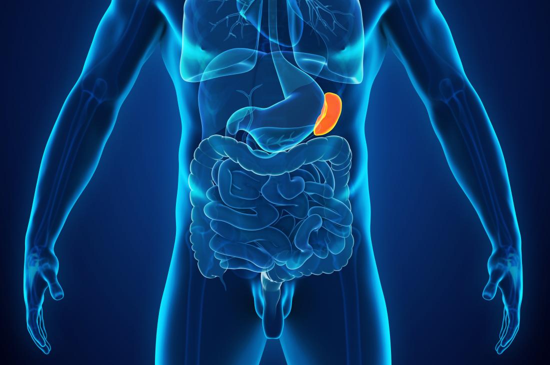 Baking soda helps the spleen