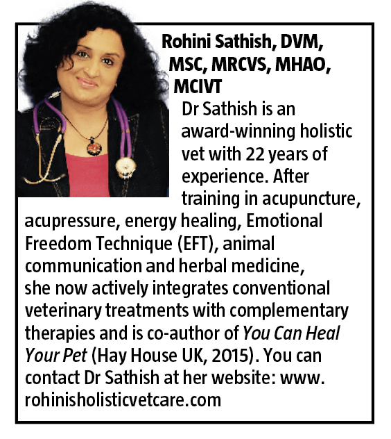Rohini Sathish