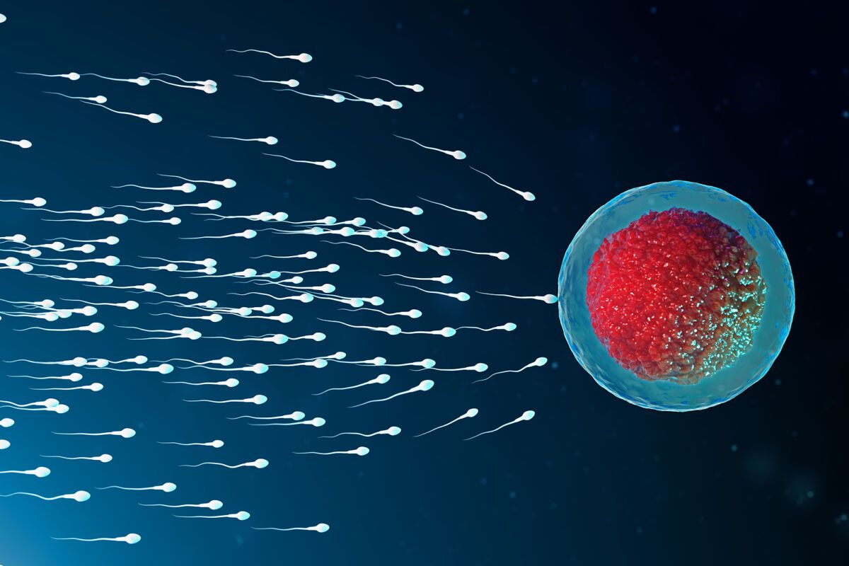 NATURAL WAYS TO BOOST SPERM QUALITY