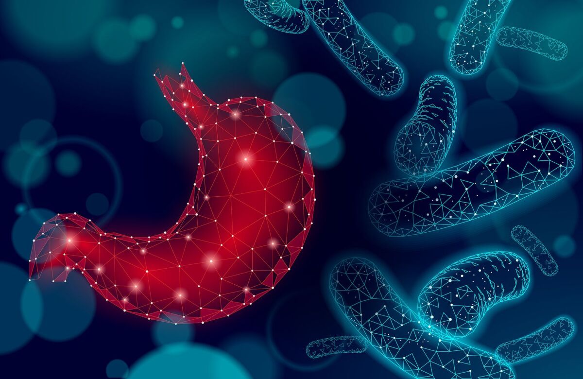 gut microbiome