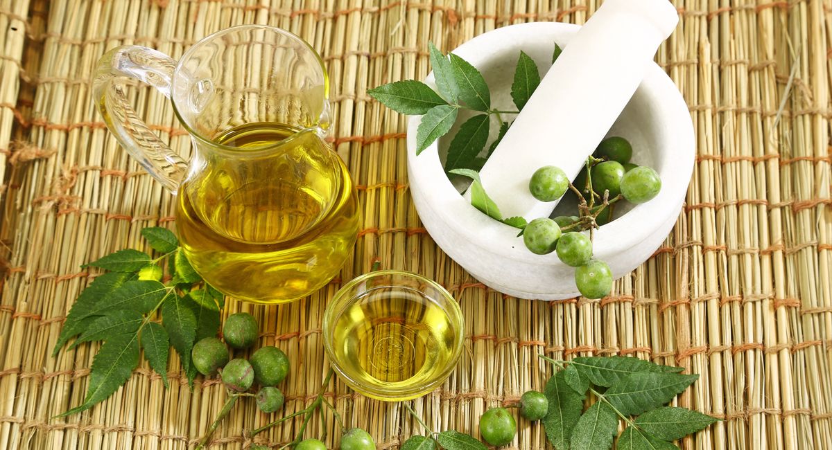 Neem oil treats Covid as effectively as any drug