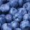 Eat blueberries when you exercise to burn more fat