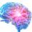 Your brain could be three years younger on this diet