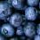 Blueberries for when you’re feeling blue